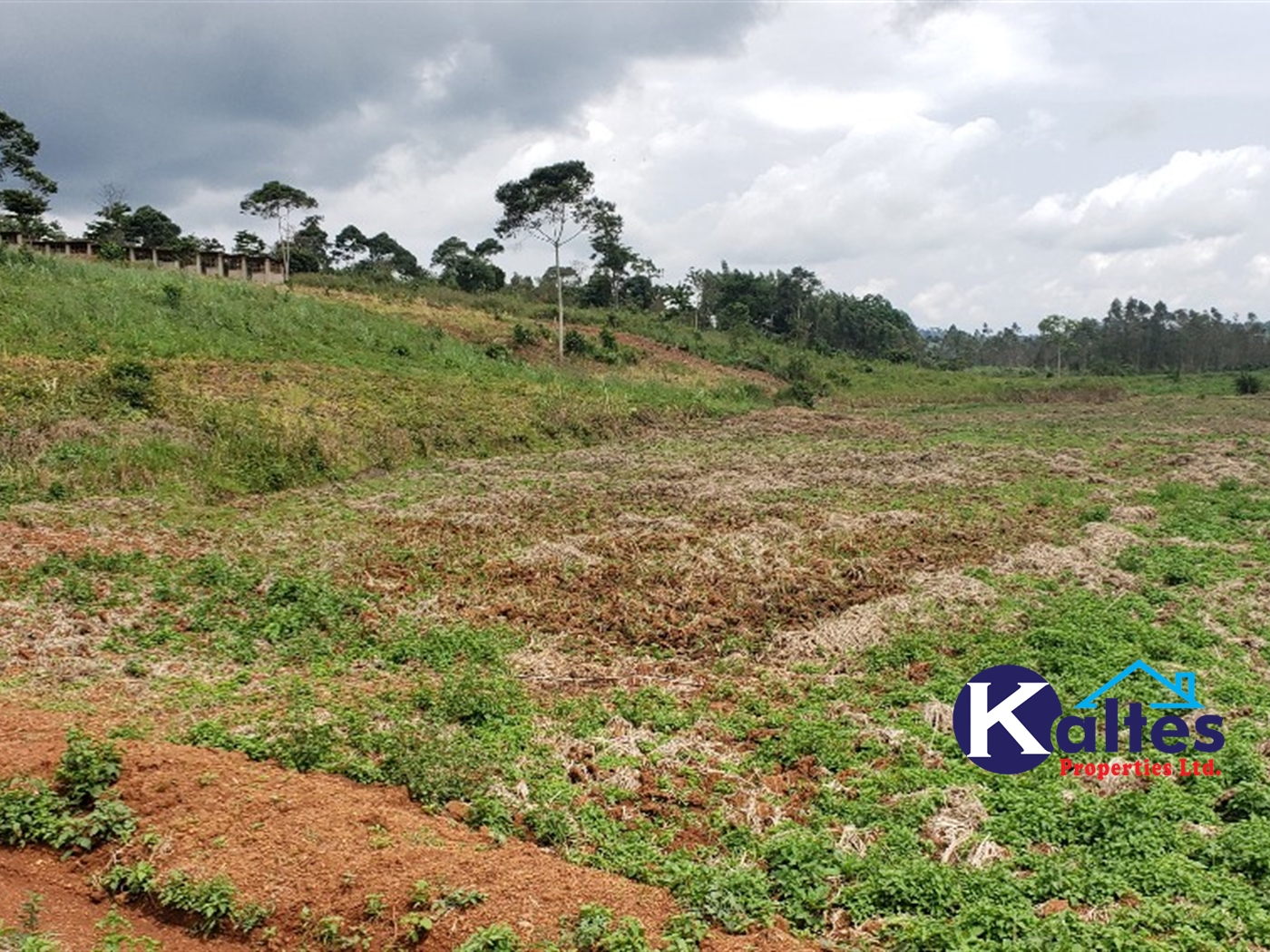 Agricultural Land for sale in Maseke Buyikwe