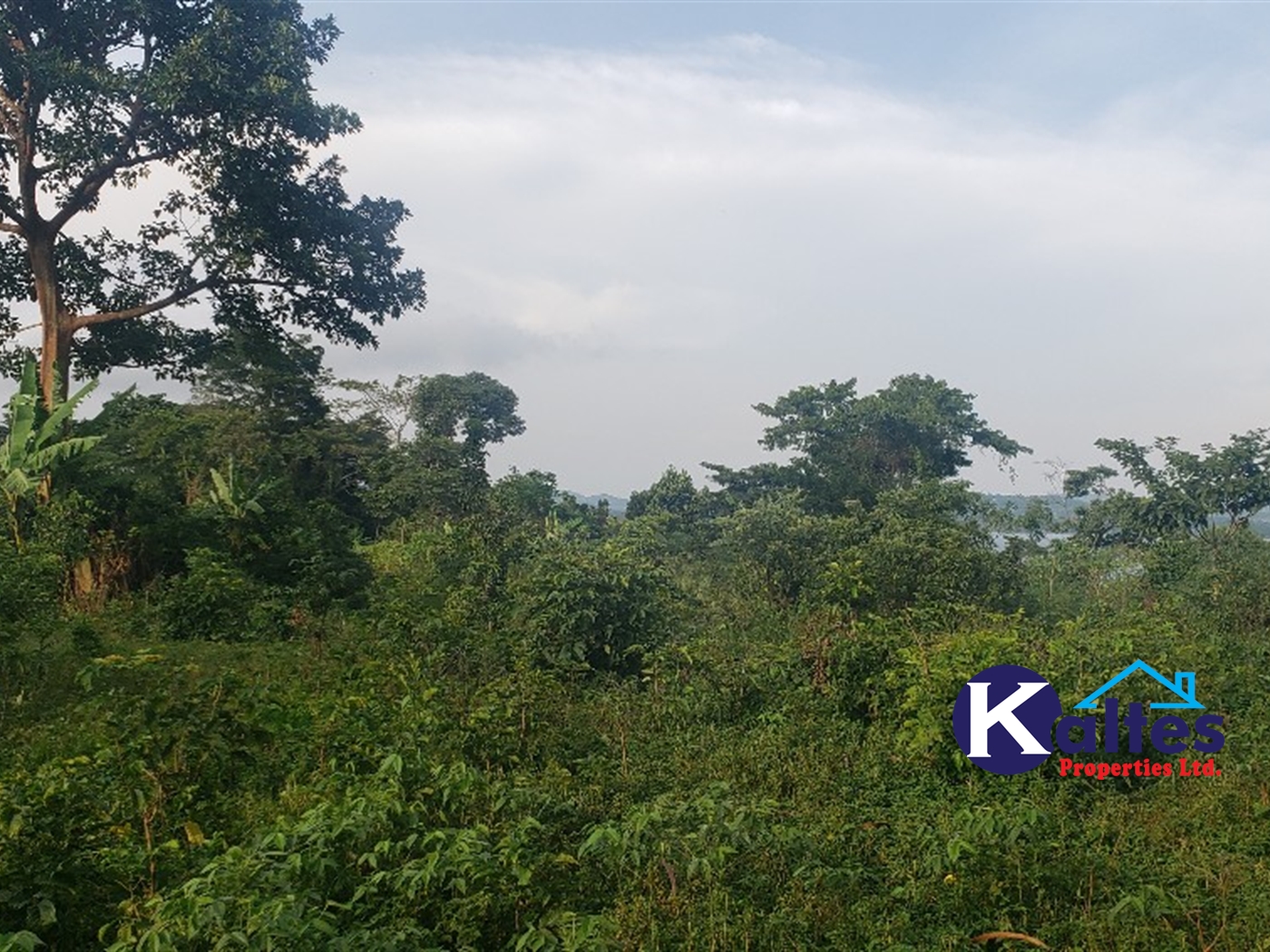 Agricultural Land for sale in Maseke Buyikwe