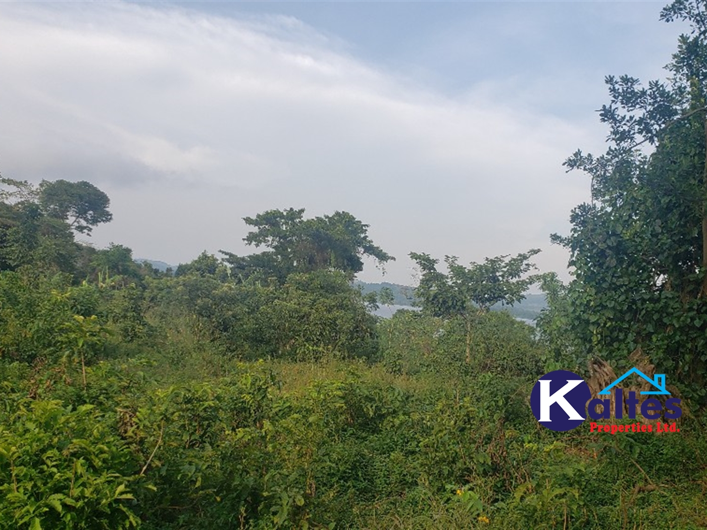 Agricultural Land for sale in Maseke Buyikwe