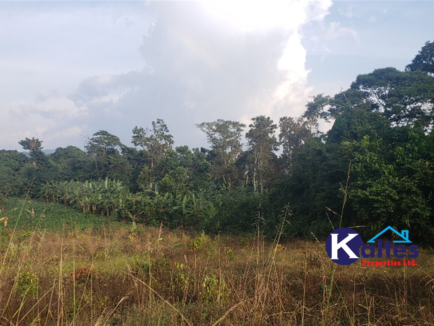 Agricultural Land for sale in Makonge Buyikwe