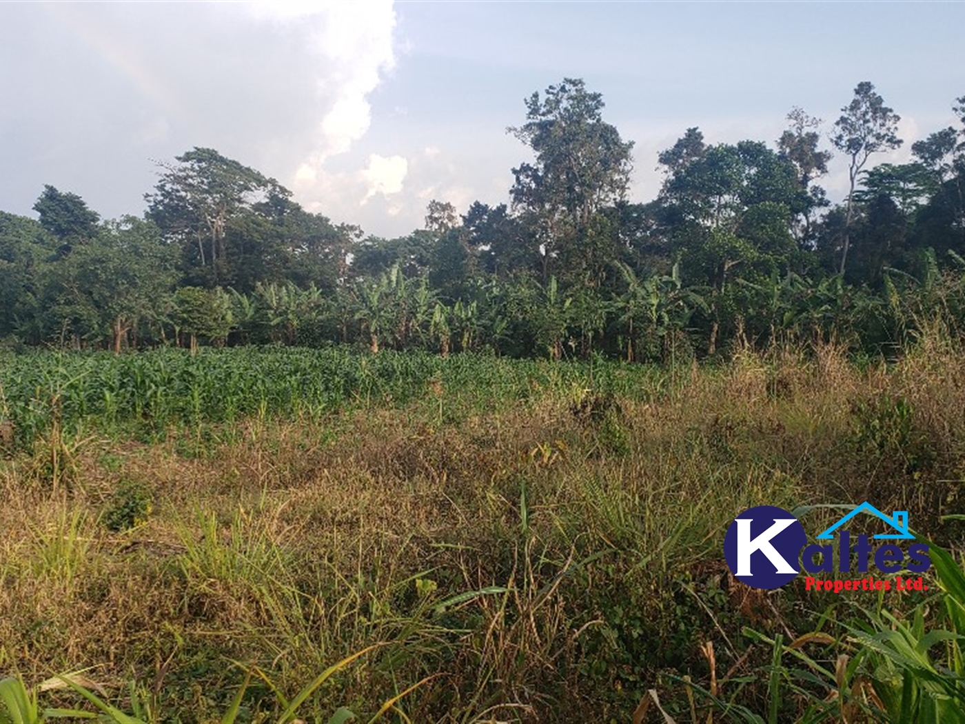 Agricultural Land for sale in Makonge Buyikwe