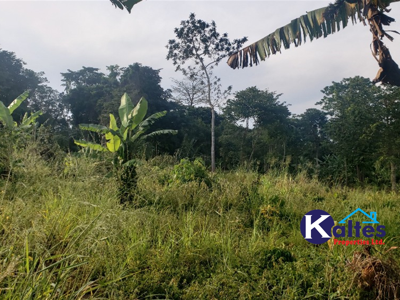 Agricultural Land for sale in Makonge Buyikwe