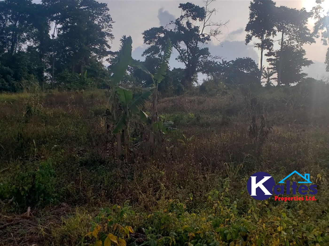 Agricultural Land for sale in Makonge Buyikwe