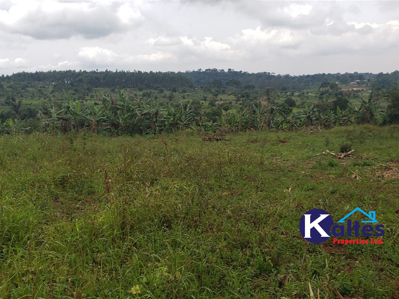 Agricultural Land for sale in Makonge Buyikwe