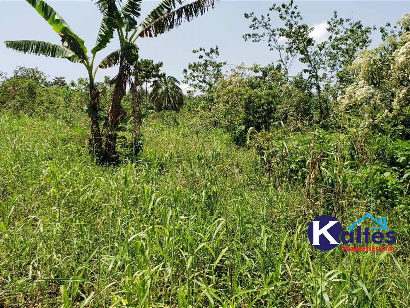 Agricultural Land for sale in Bugule Buyikwe