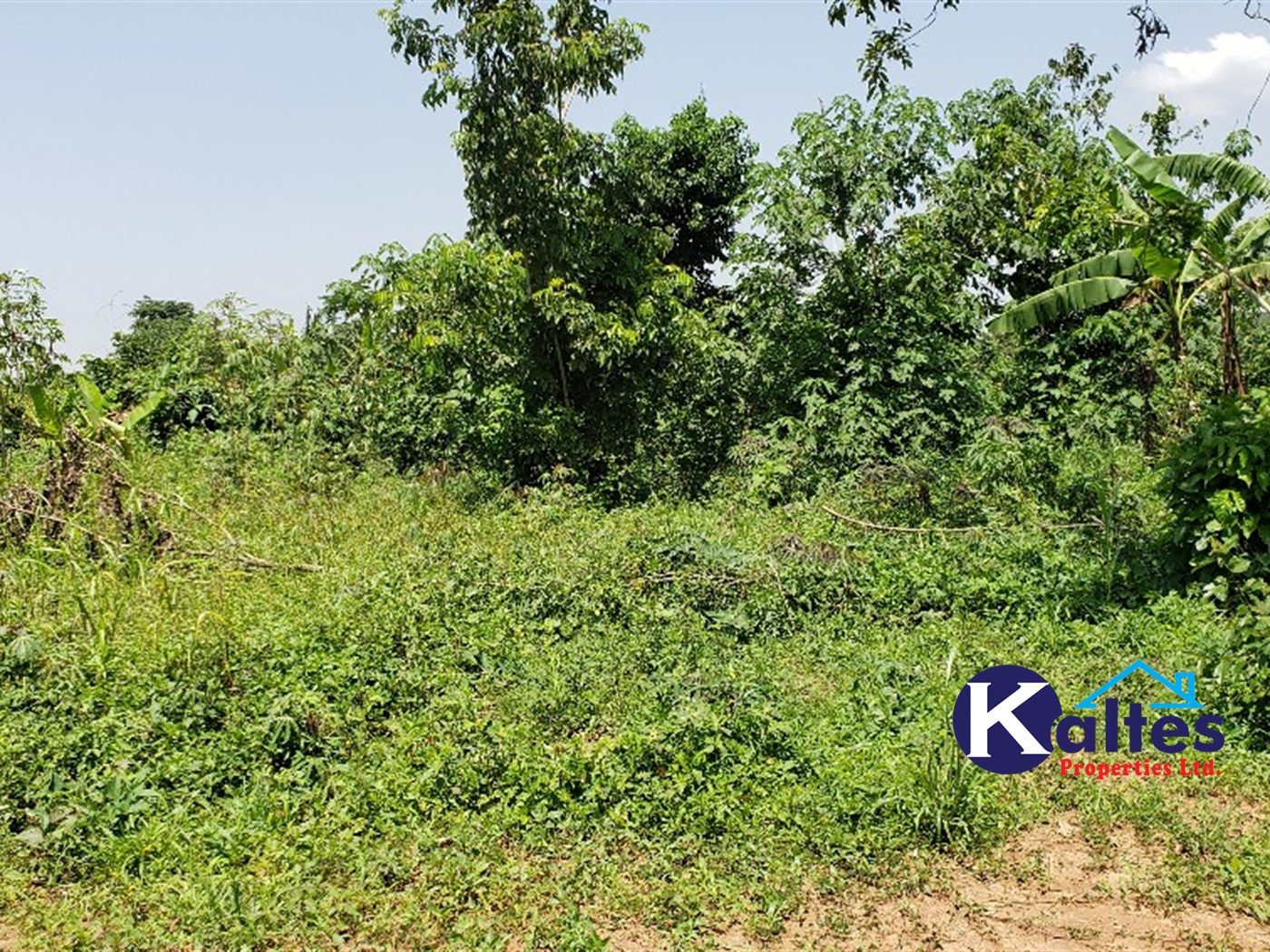 Agricultural Land for sale in Bugule Buyikwe