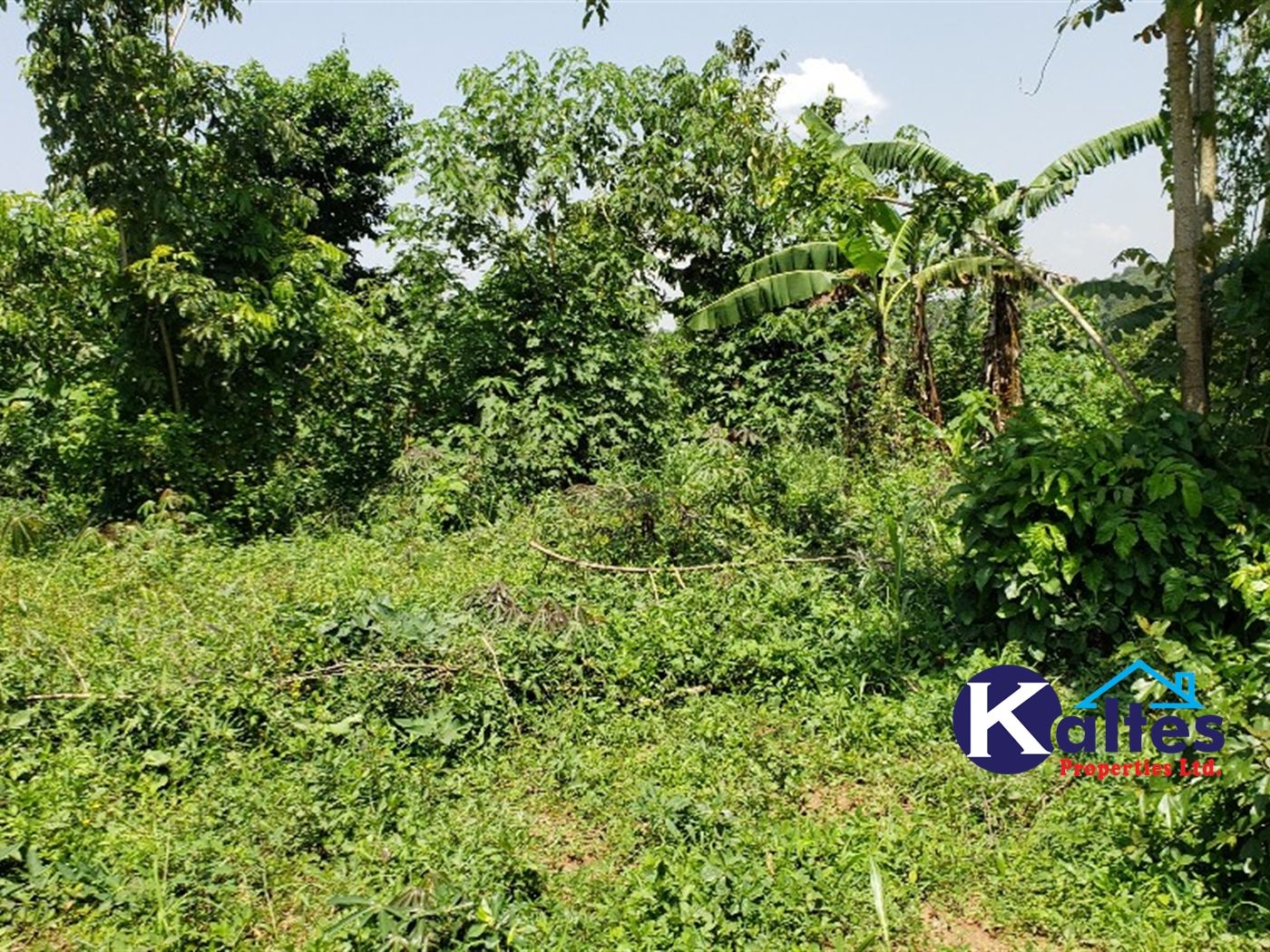 Agricultural Land for sale in Bugule Buyikwe