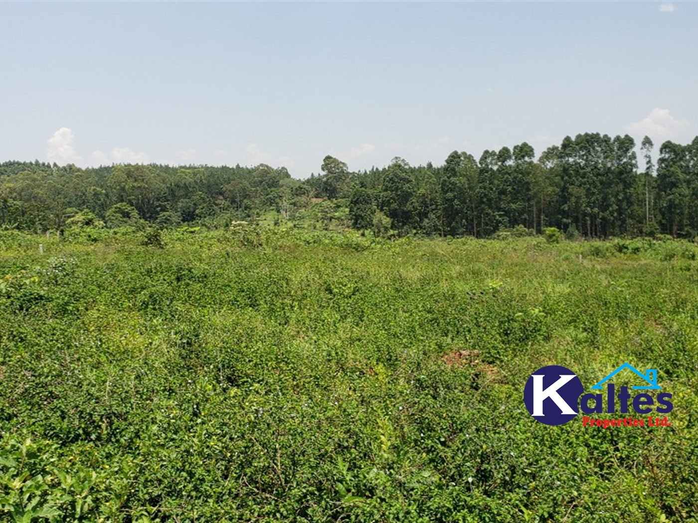 Agricultural Land for sale in Makindu Buyikwe