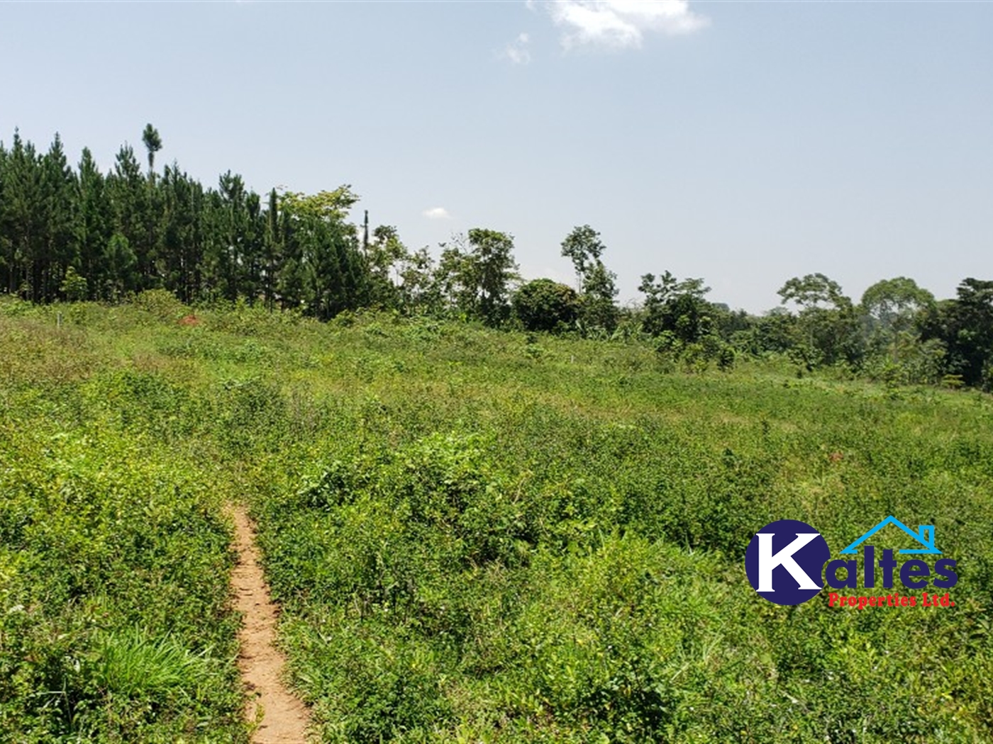 Agricultural Land for sale in Makindu Buyikwe