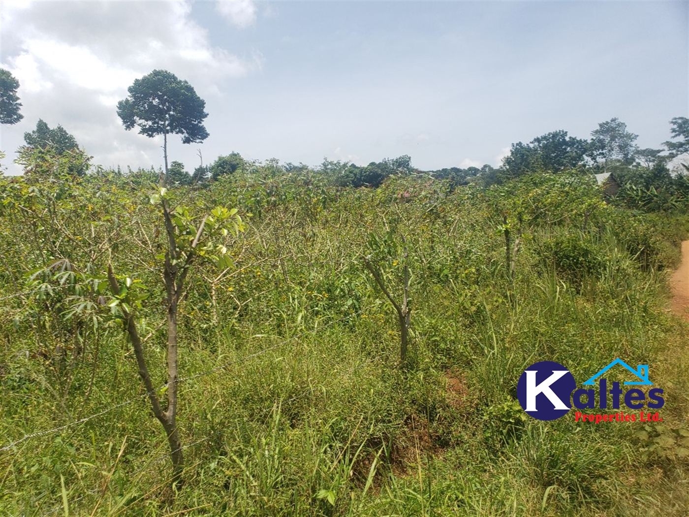 Agricultural Land for sale in Makindu Buyikwe