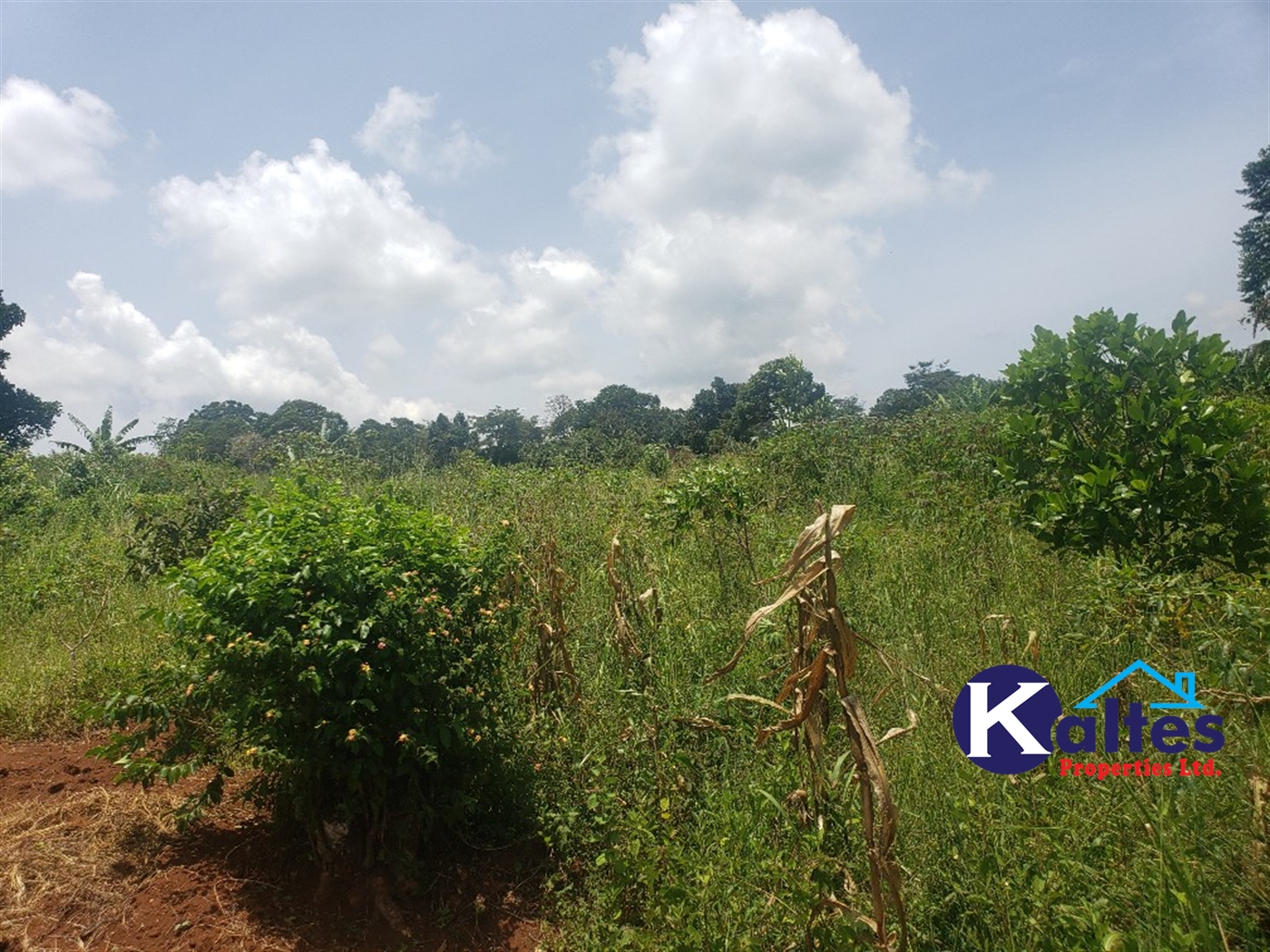 Agricultural Land for sale in Makindu Buyikwe