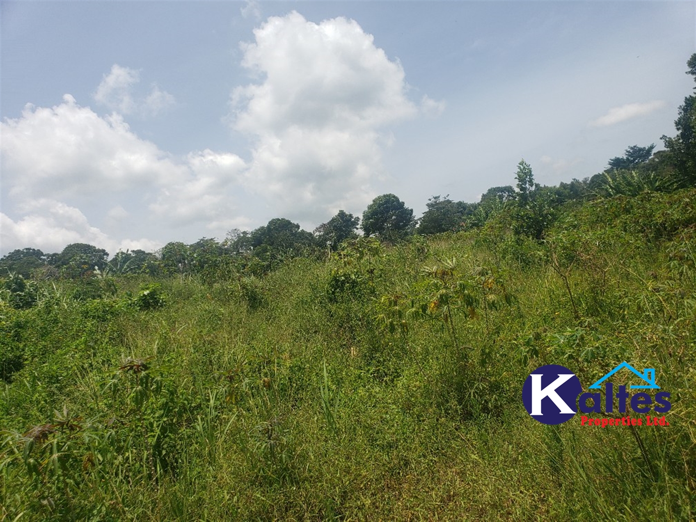 Agricultural Land for rent in Makindu Buyikwe