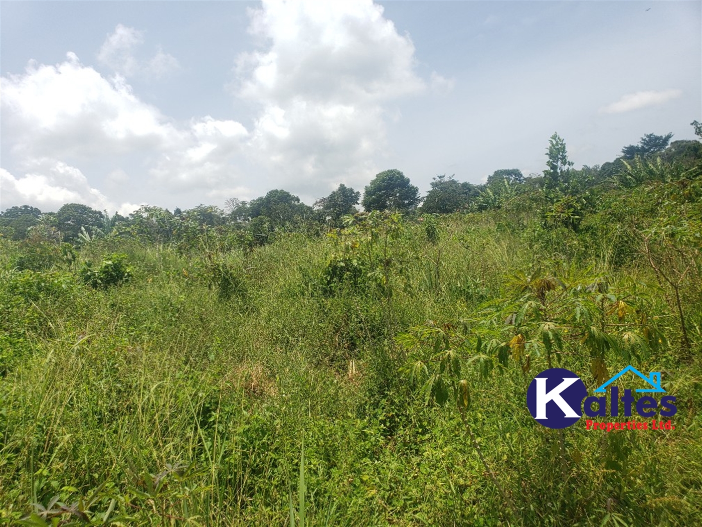 Agricultural Land for rent in Makindu Buyikwe