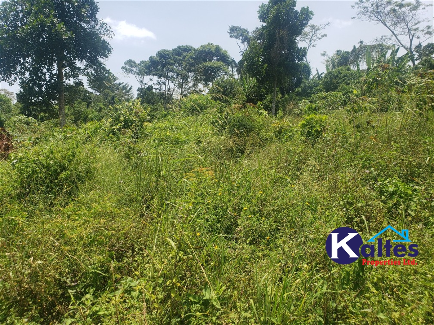 Agricultural Land for sale in Makindu Buyikwe