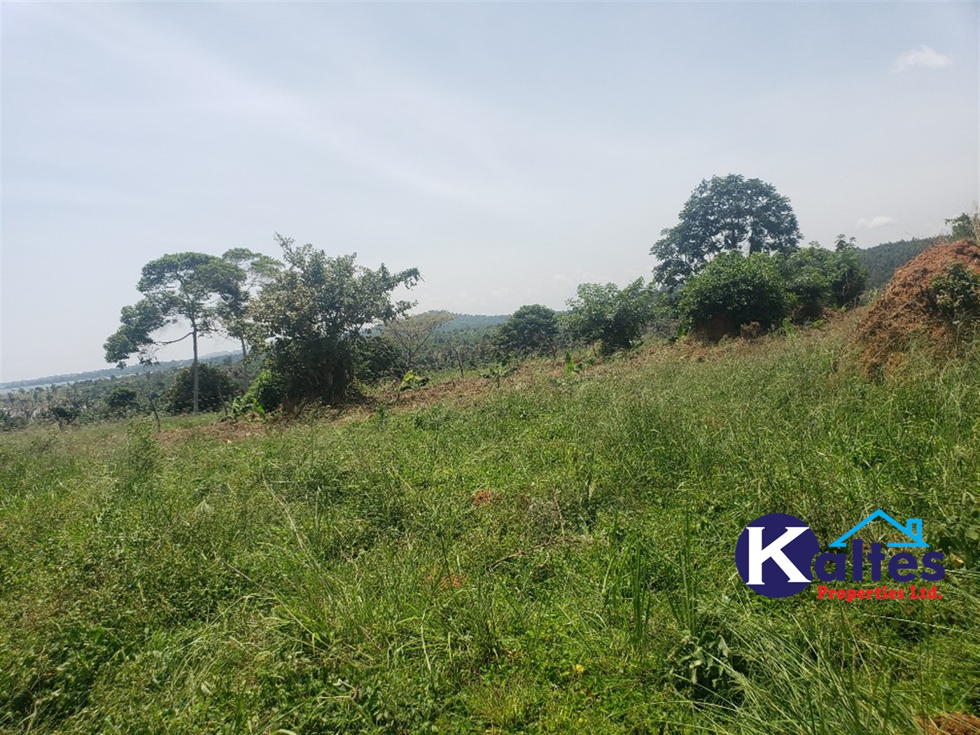 Agricultural Land for sale in Nakatyaba Buyikwe