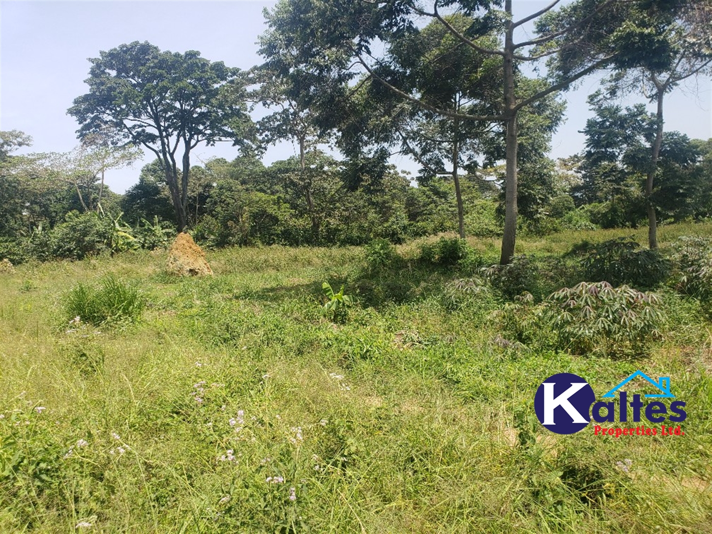 Agricultural Land for sale in Nakatyaba Buyikwe