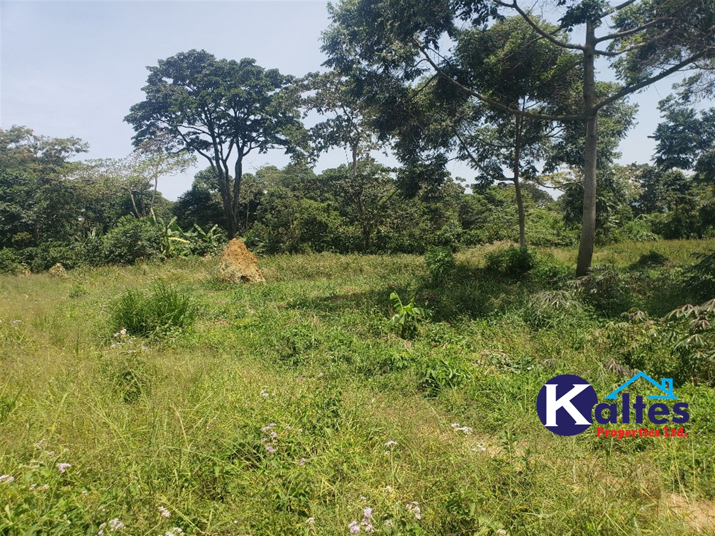 Agricultural Land for sale in Nakatyaba Buyikwe