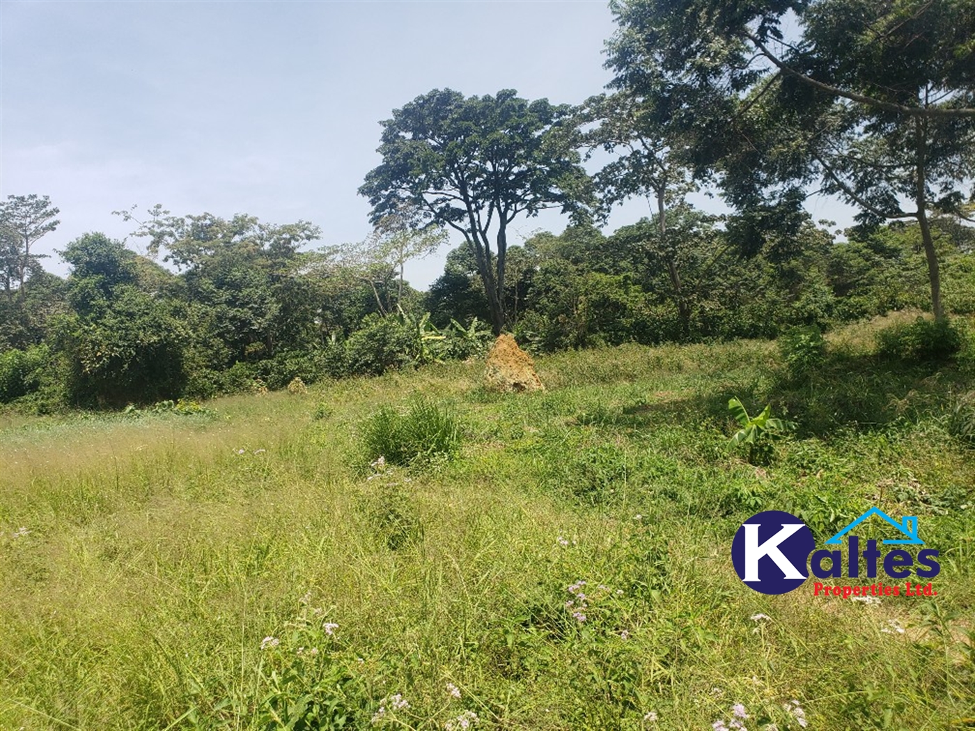 Agricultural Land for sale in Nakatyaba Buyikwe