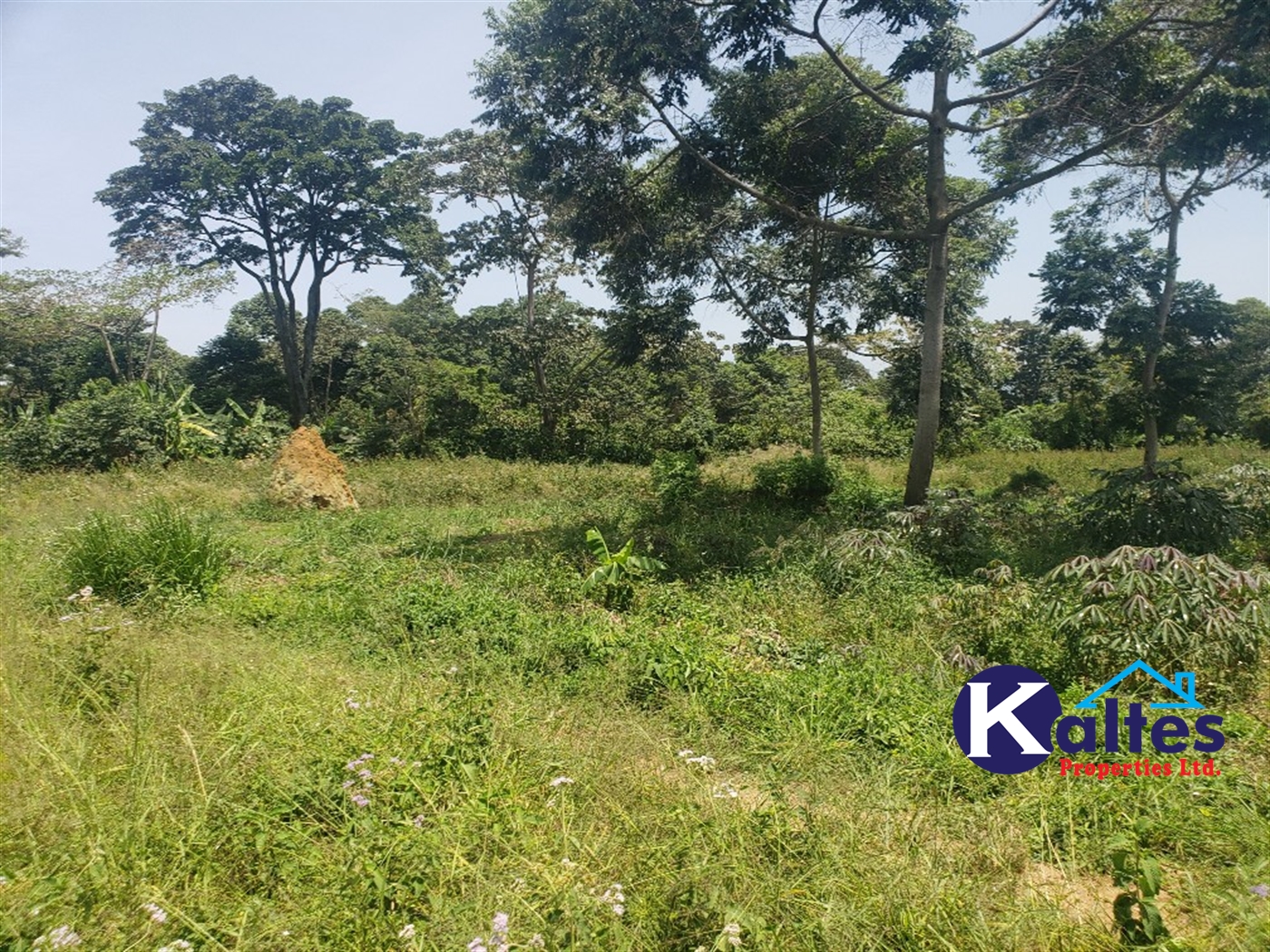 Agricultural Land for sale in Nakatyaba Buyikwe