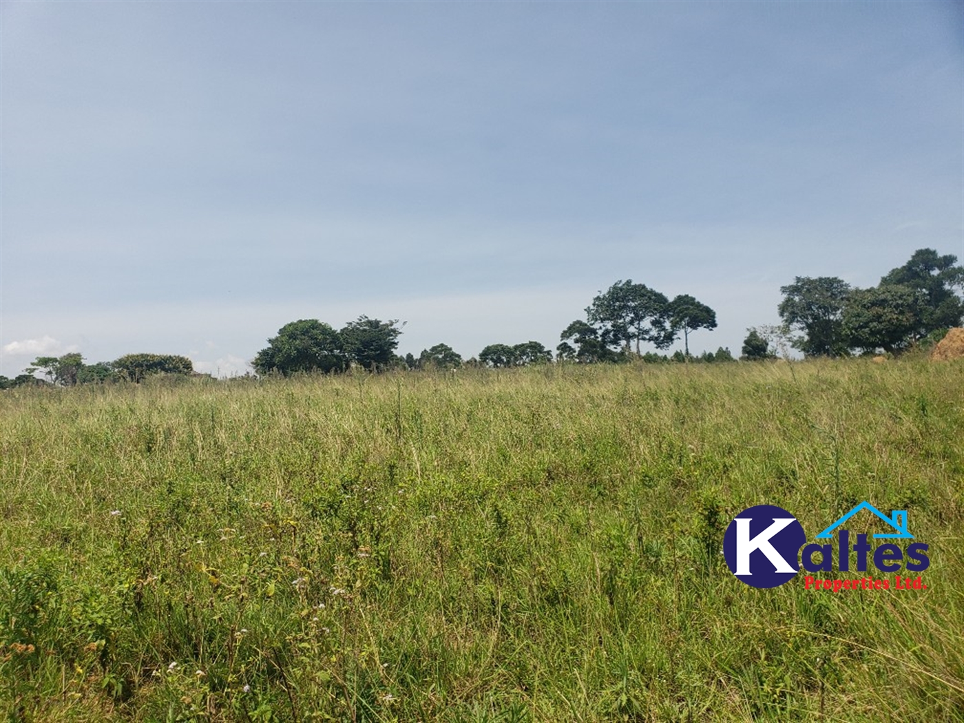 Agricultural Land for sale in Nakatyaba Buyikwe