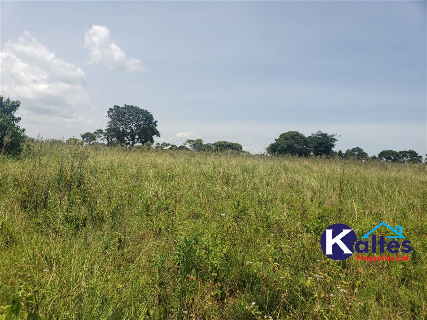 Agricultural Land for sale in Nakatyaba Buyikwe