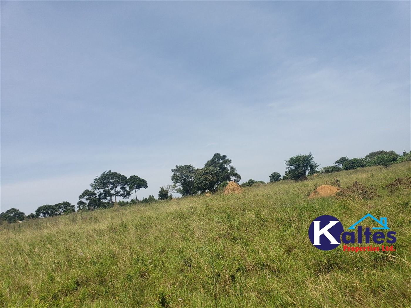 Agricultural Land for sale in Nakatyaba Buyikwe