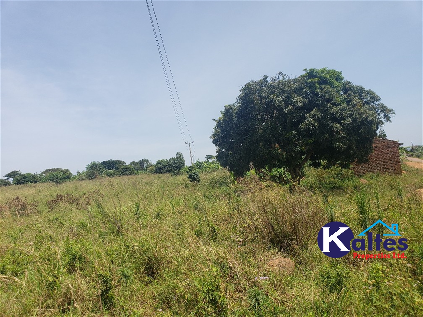 Agricultural Land for sale in Nakatyaba Buyikwe