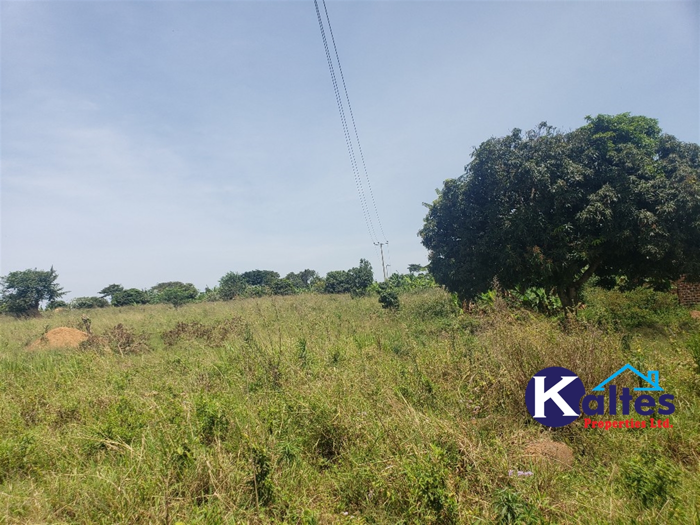 Agricultural Land for sale in Nakatyaba Buyikwe