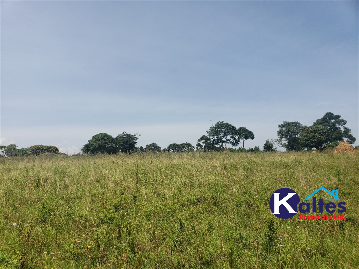 Agricultural Land for sale in Nakatyaba Buyikwe