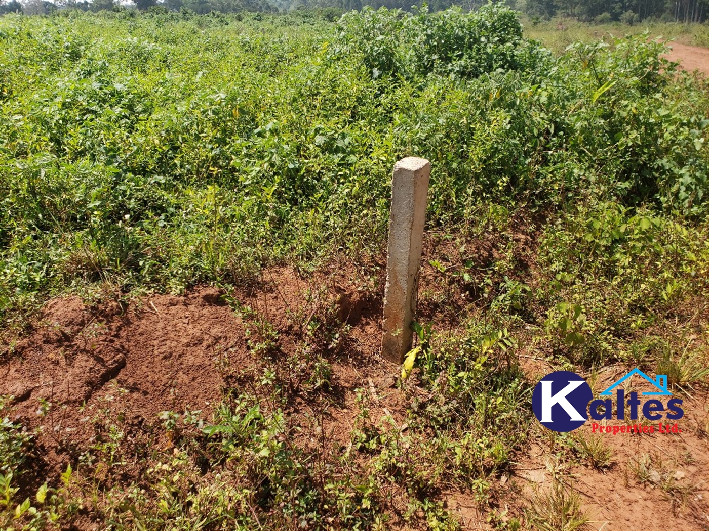 Agricultural Land for sale in Naja Buyikwe