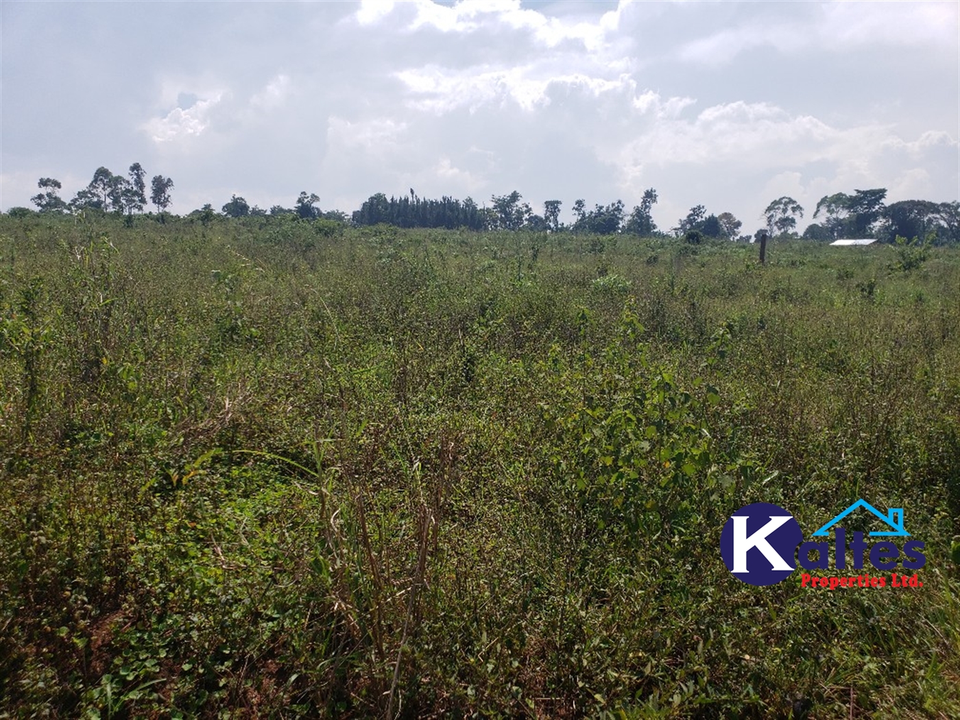 Agricultural Land for sale in Naja Buyikwe