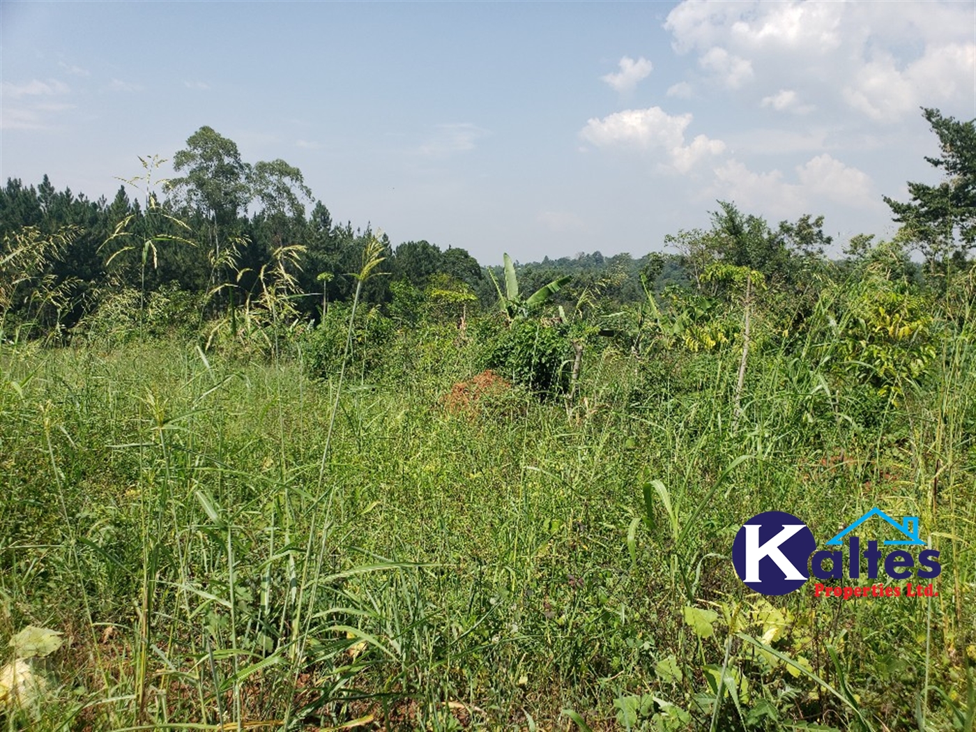 Agricultural Land for sale in Naja Buyikwe