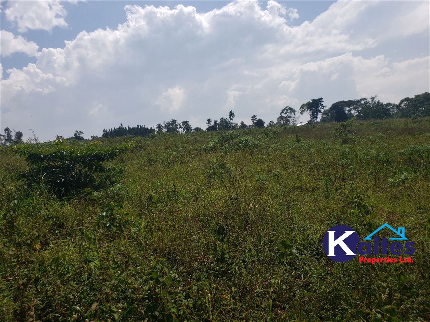Agricultural Land for sale in Naja Buyikwe