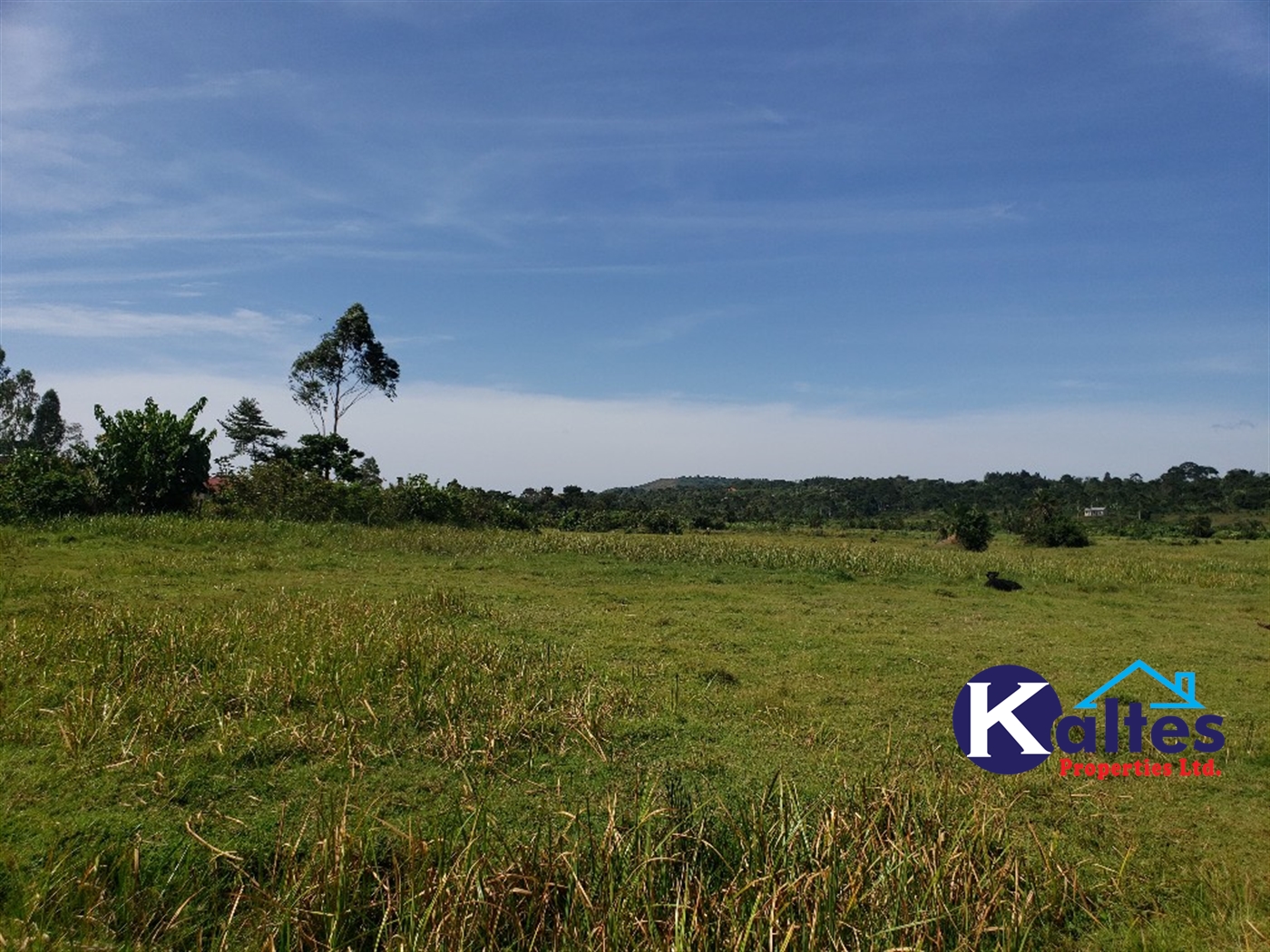 Agricultural Land for sale in Kalagala Buyikwe