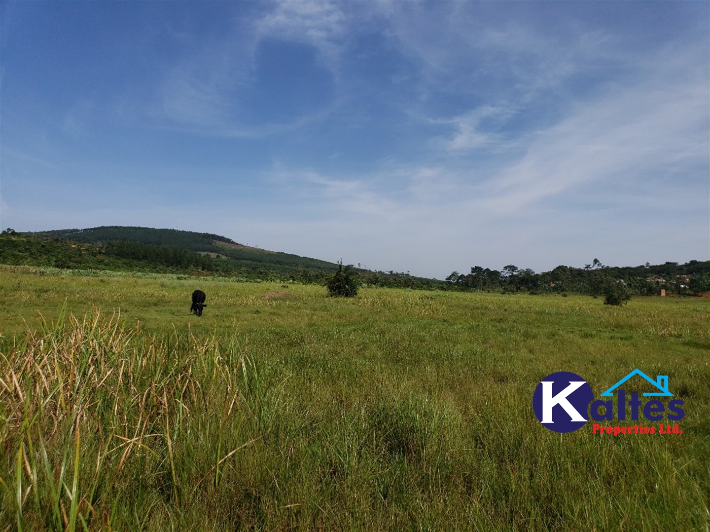 Agricultural Land for sale in Kalagala Buyikwe