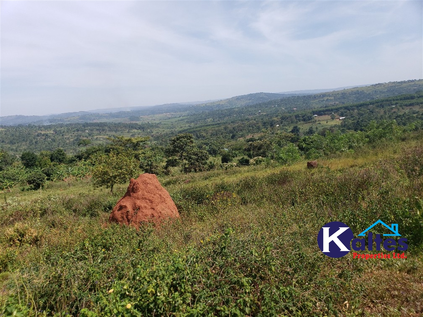 Agricultural Land for sale in Kalagala Buyikwe