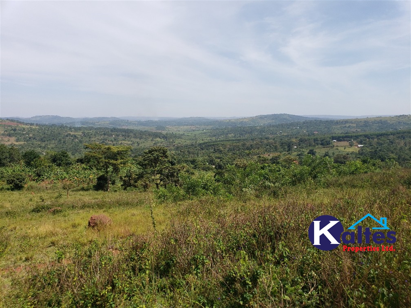 Agricultural Land for sale in Kalagala Buyikwe