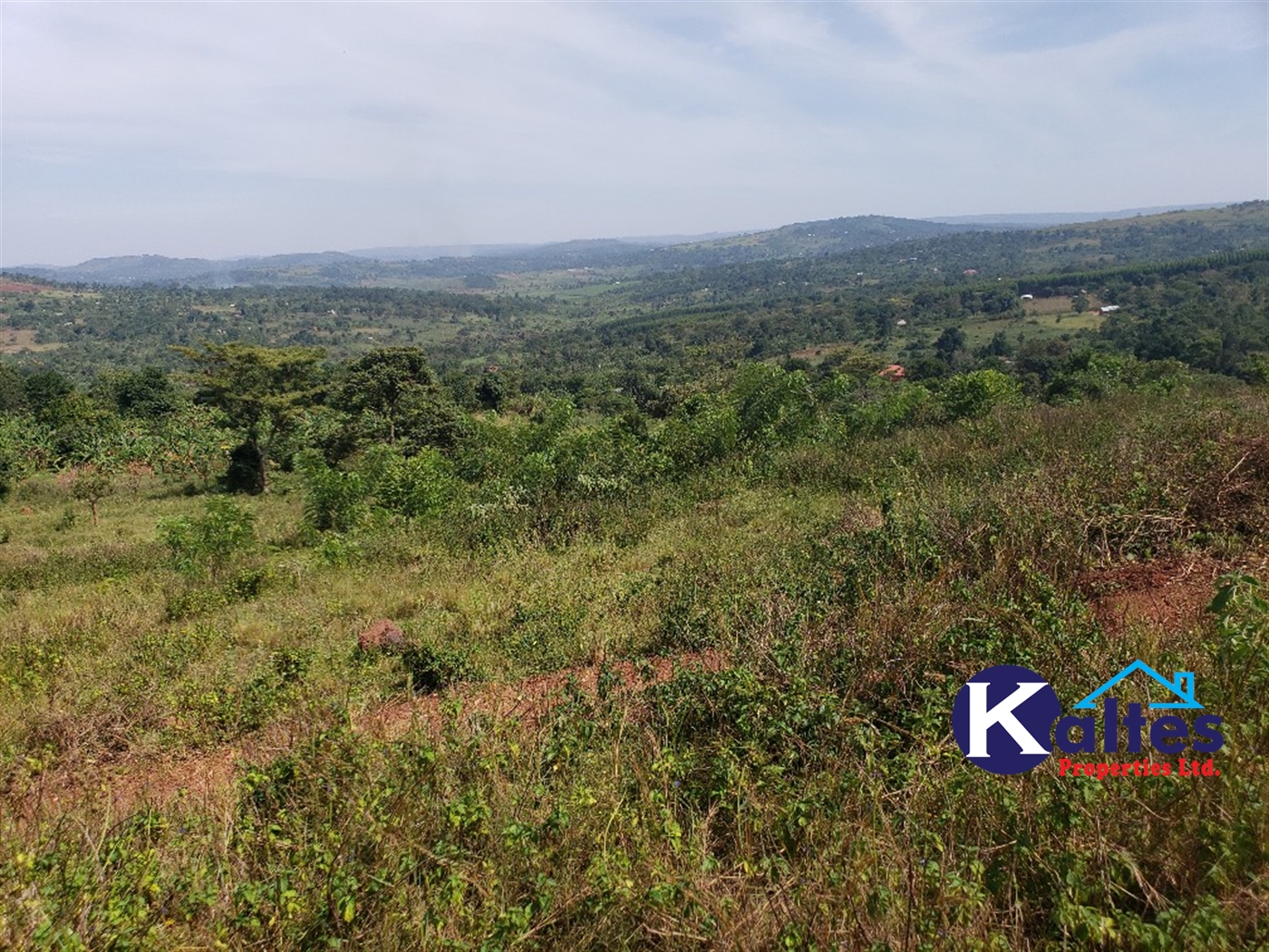 Agricultural Land for sale in Kalagala Buyikwe