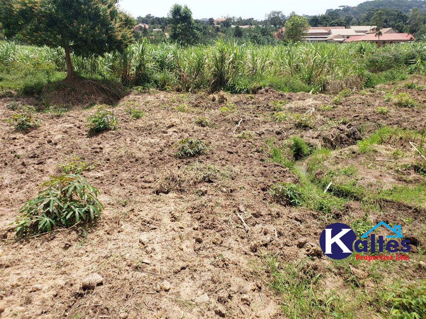 Agricultural Land for sale in Mpogo Buyikwe