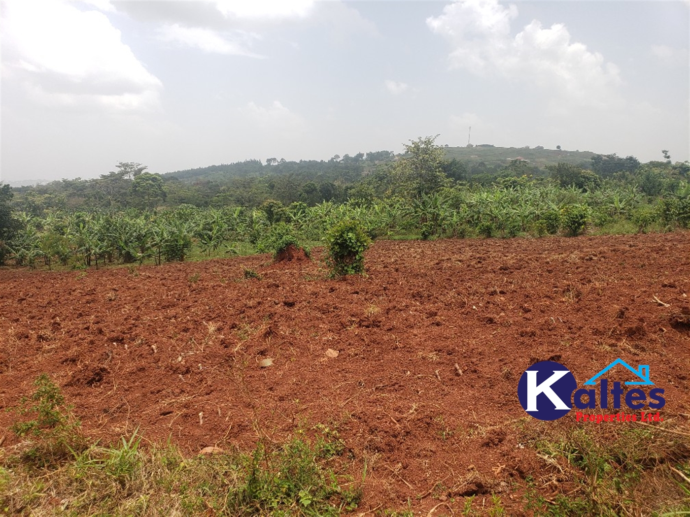Agricultural Land for sale in Mpogo Buyikwe