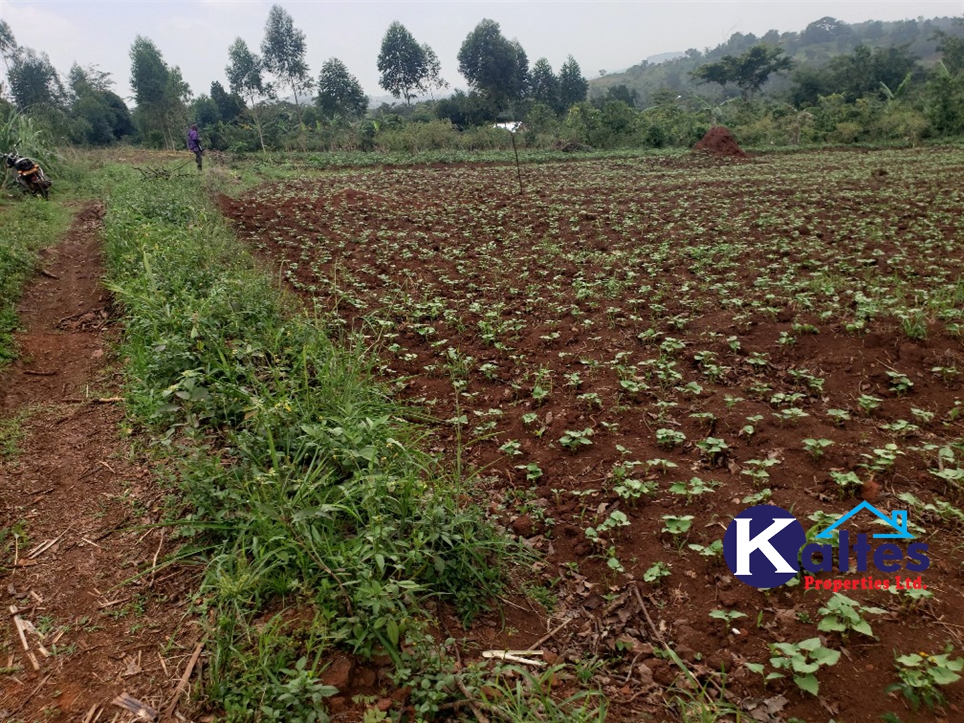 Agricultural Land for sale in Kimera Buyikwe