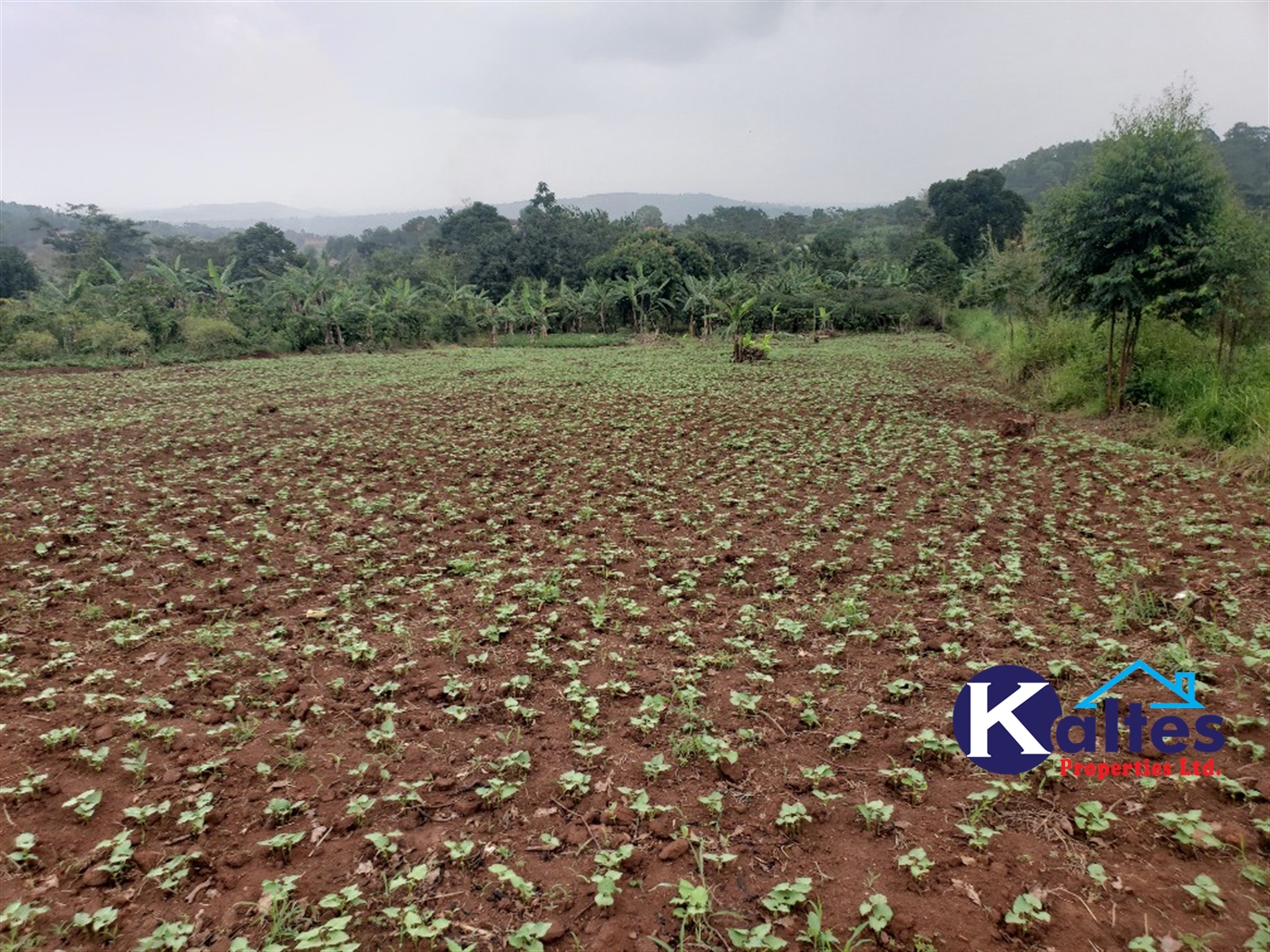 Agricultural Land for sale in Kimera Buyikwe