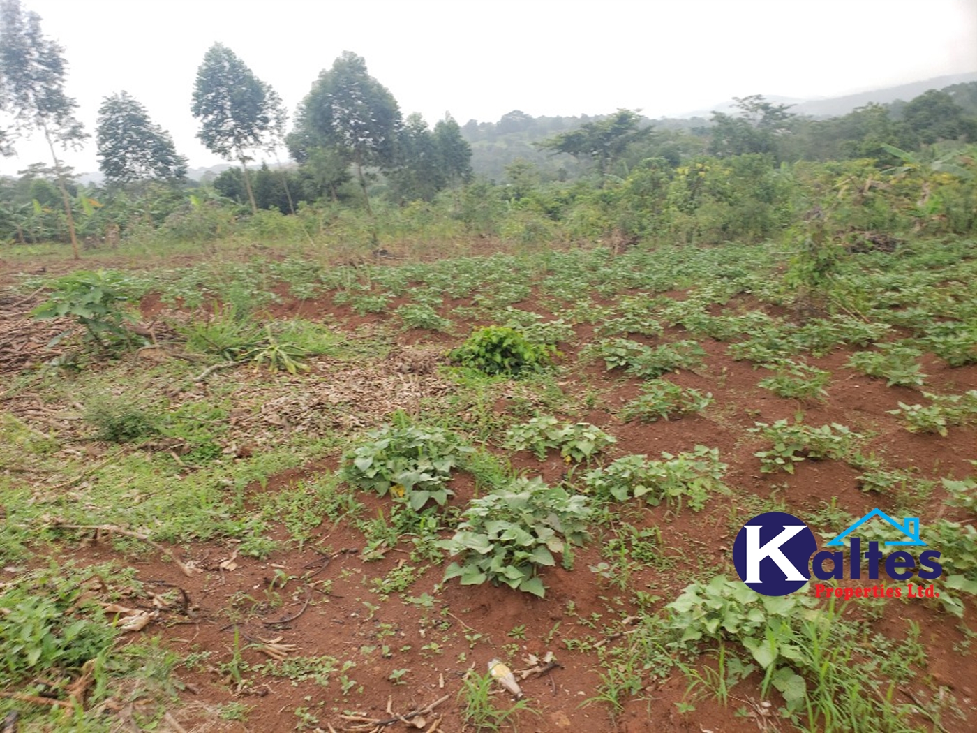 Agricultural Land for sale in Kimera Buyikwe