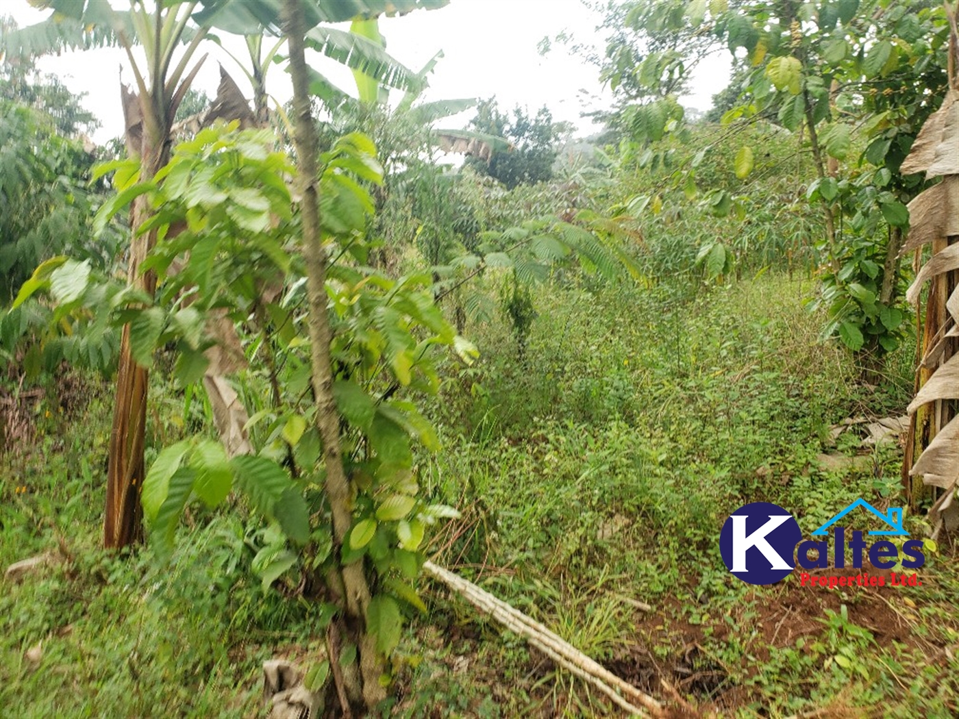 Agricultural Land for sale in Kimera Buyikwe