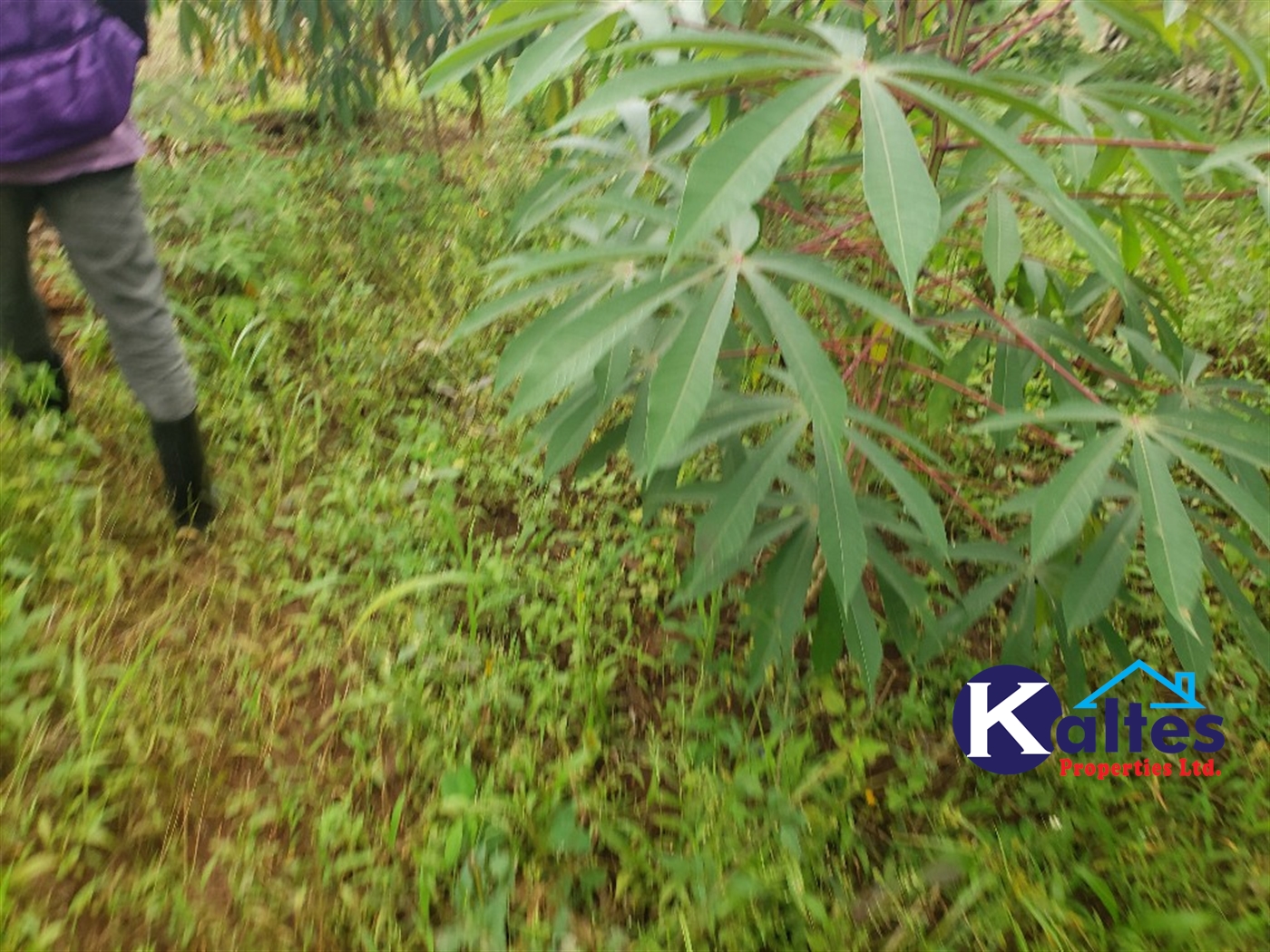 Agricultural Land for sale in Kimera Buyikwe