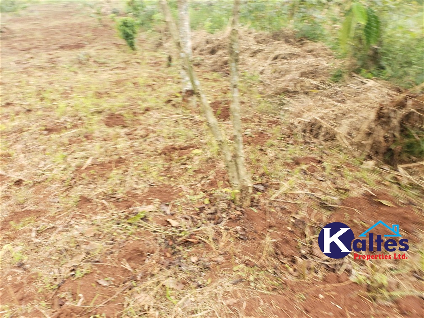 Agricultural Land for sale in Kimera Buyikwe