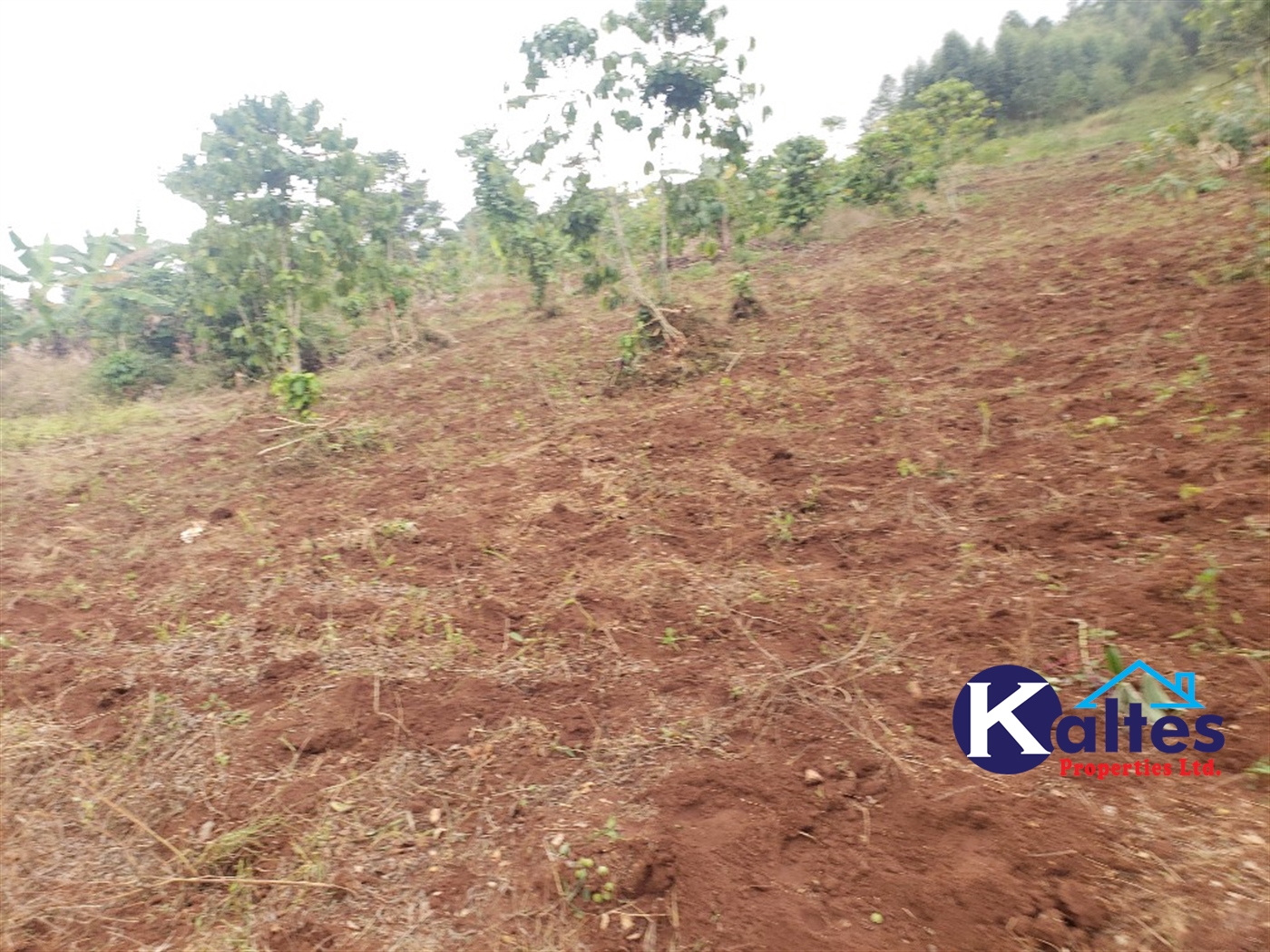 Agricultural Land for sale in Kimera Buyikwe