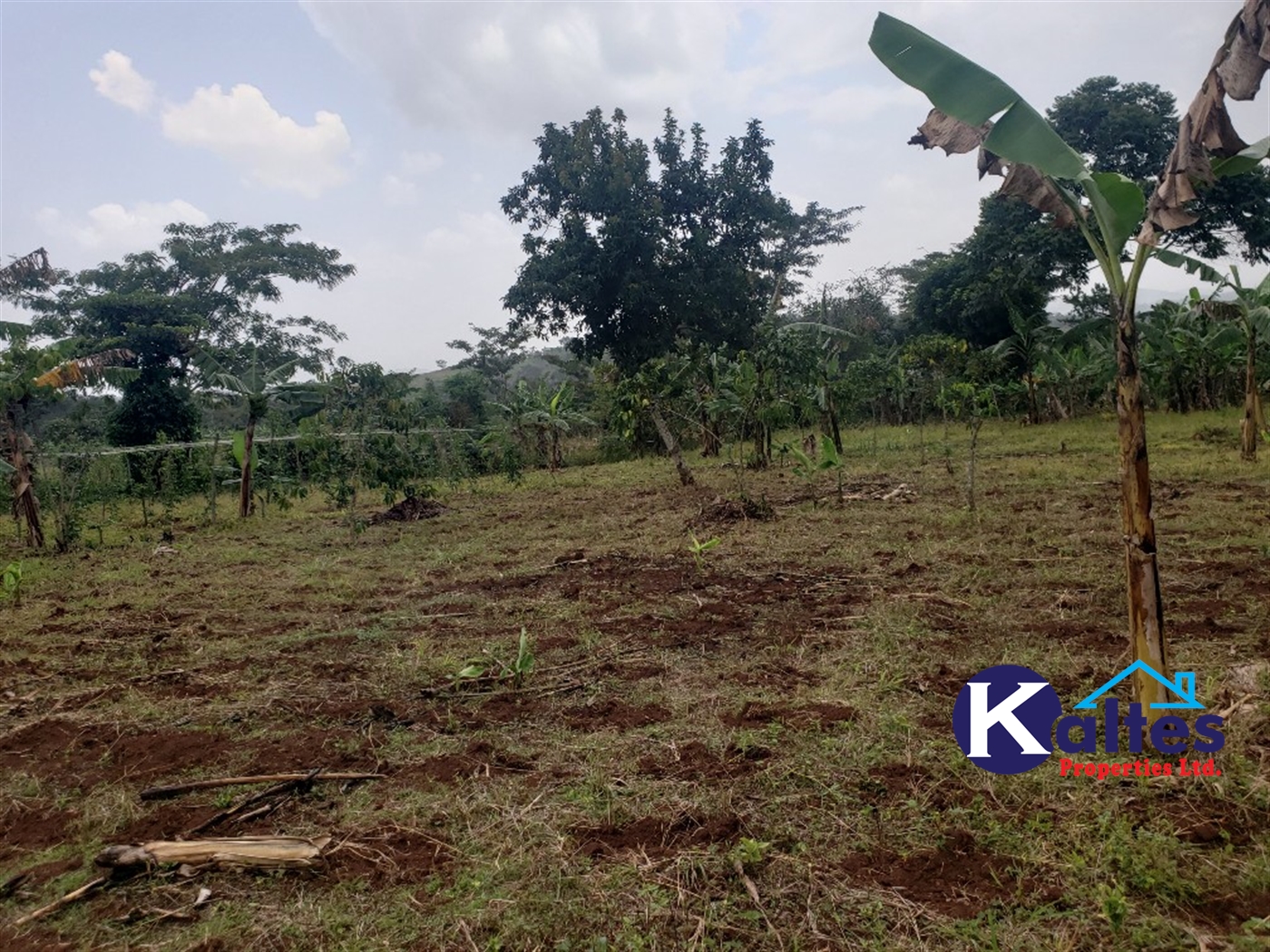 Agricultural Land for sale in Buwola Buyikwe