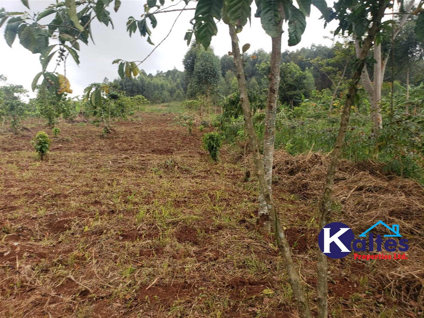 Agricultural Land for sale in Buwola Buyikwe