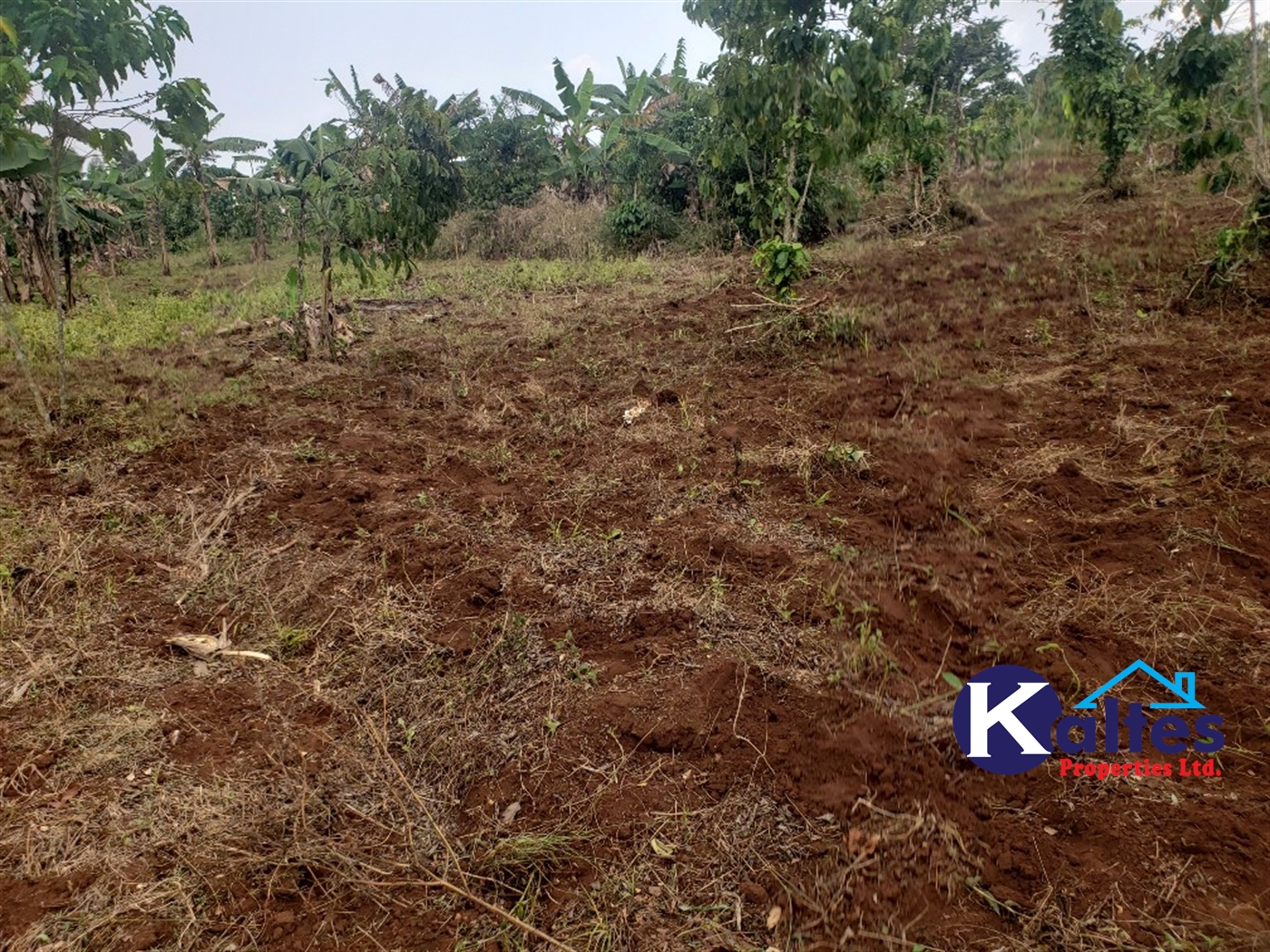 Agricultural Land for sale in Buwola Buyikwe